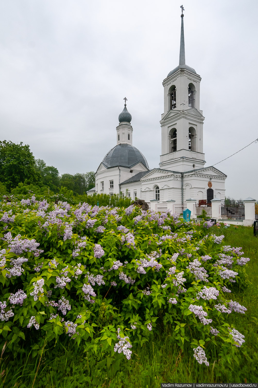 Архангельские Борки, Липецкая область, Липецкий район. Церковь Дмитрия Солунского
