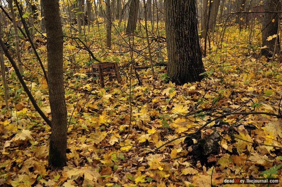 усадьба Жуково