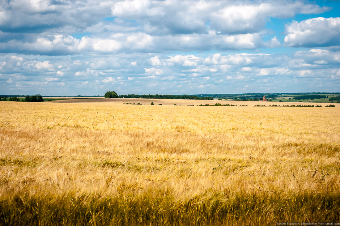 усадьба Кропотово-Лермонтово
