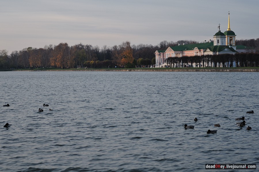 усадьба Кусково