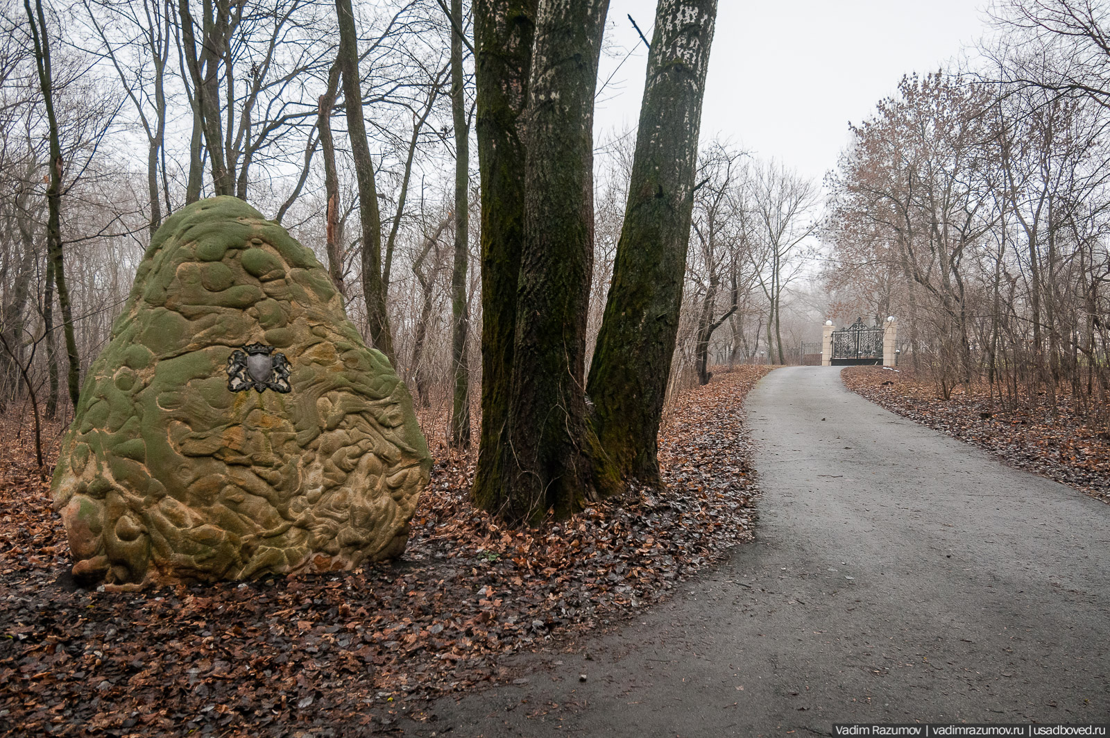 усадьба Борки, Липецкая область