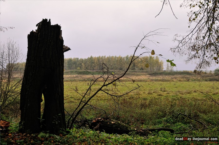 усадьба Федоровское