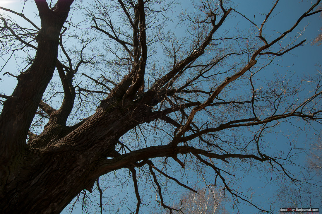 усадьба Савинское (исследование масонского парка)