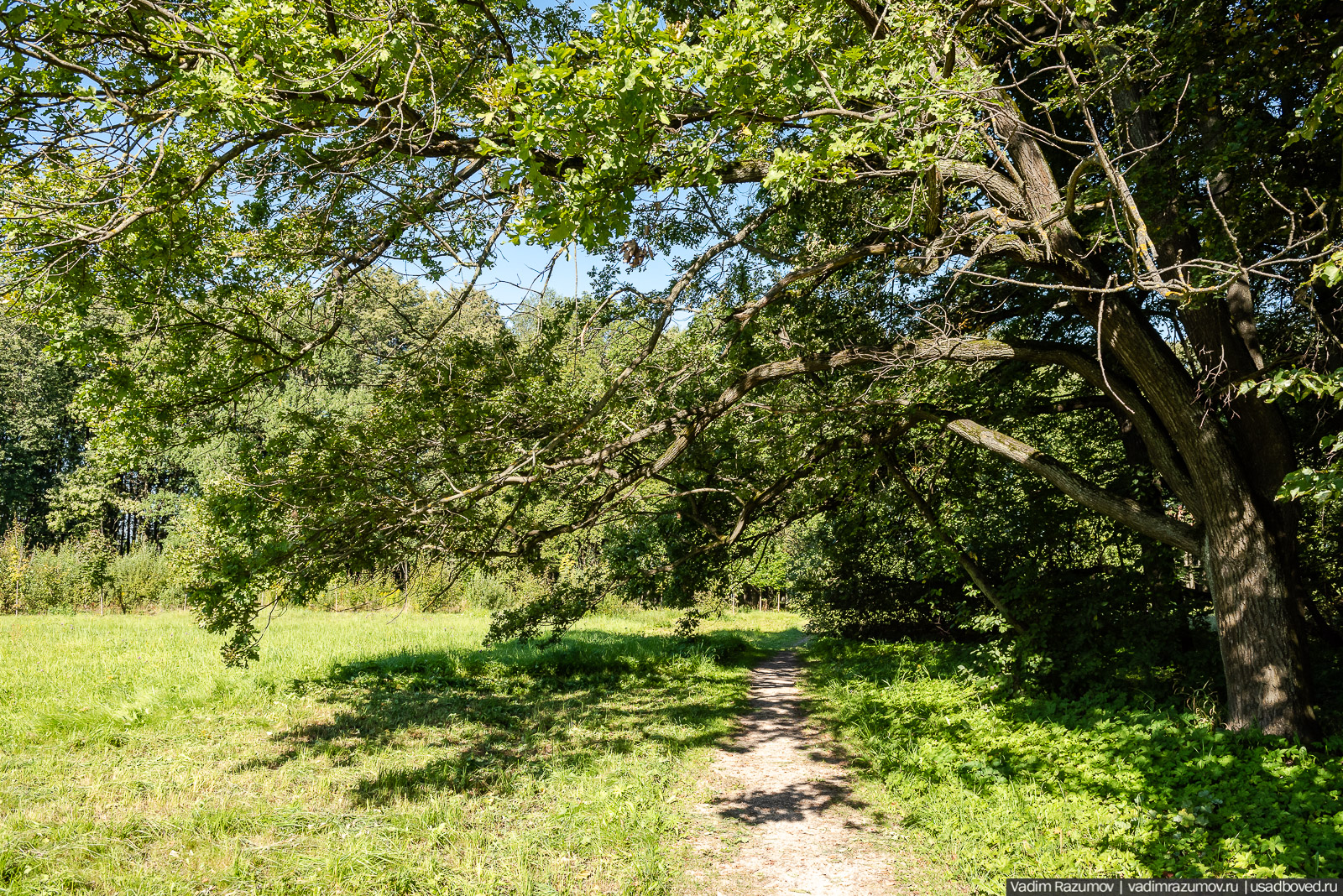Усадьба Заболотье, парк, курганы, Долгопрудный, Москва