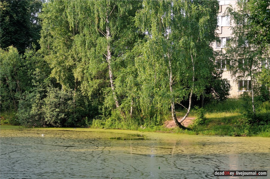 усадьба Долгое Ледово