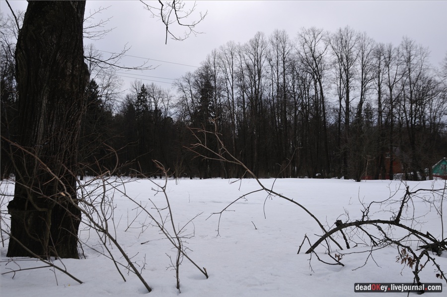 усадьба Ельдигино