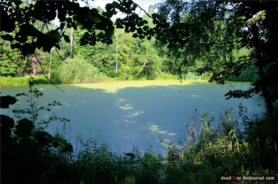 усадьба Долгое Ледово