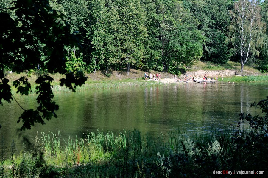 усадьба Шишкино