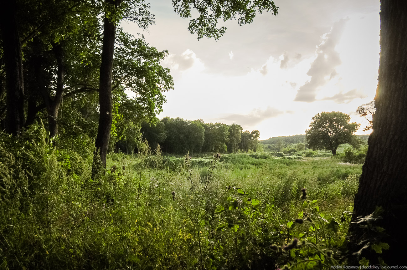 усадьба Колодезское