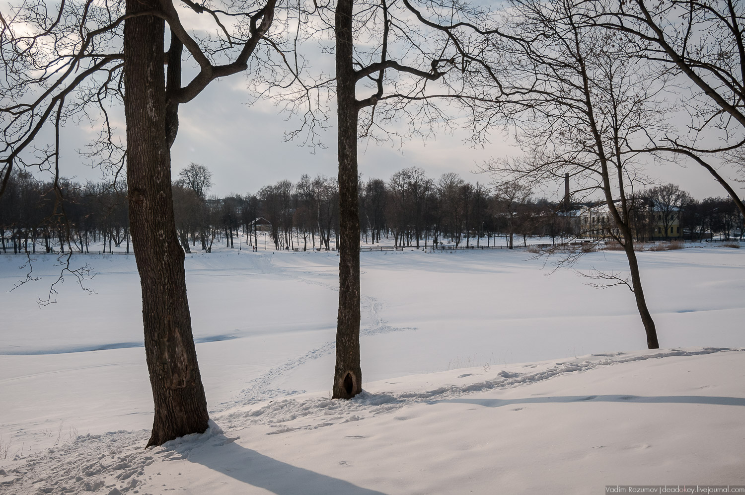 Богородицк, старые архивные фотографии