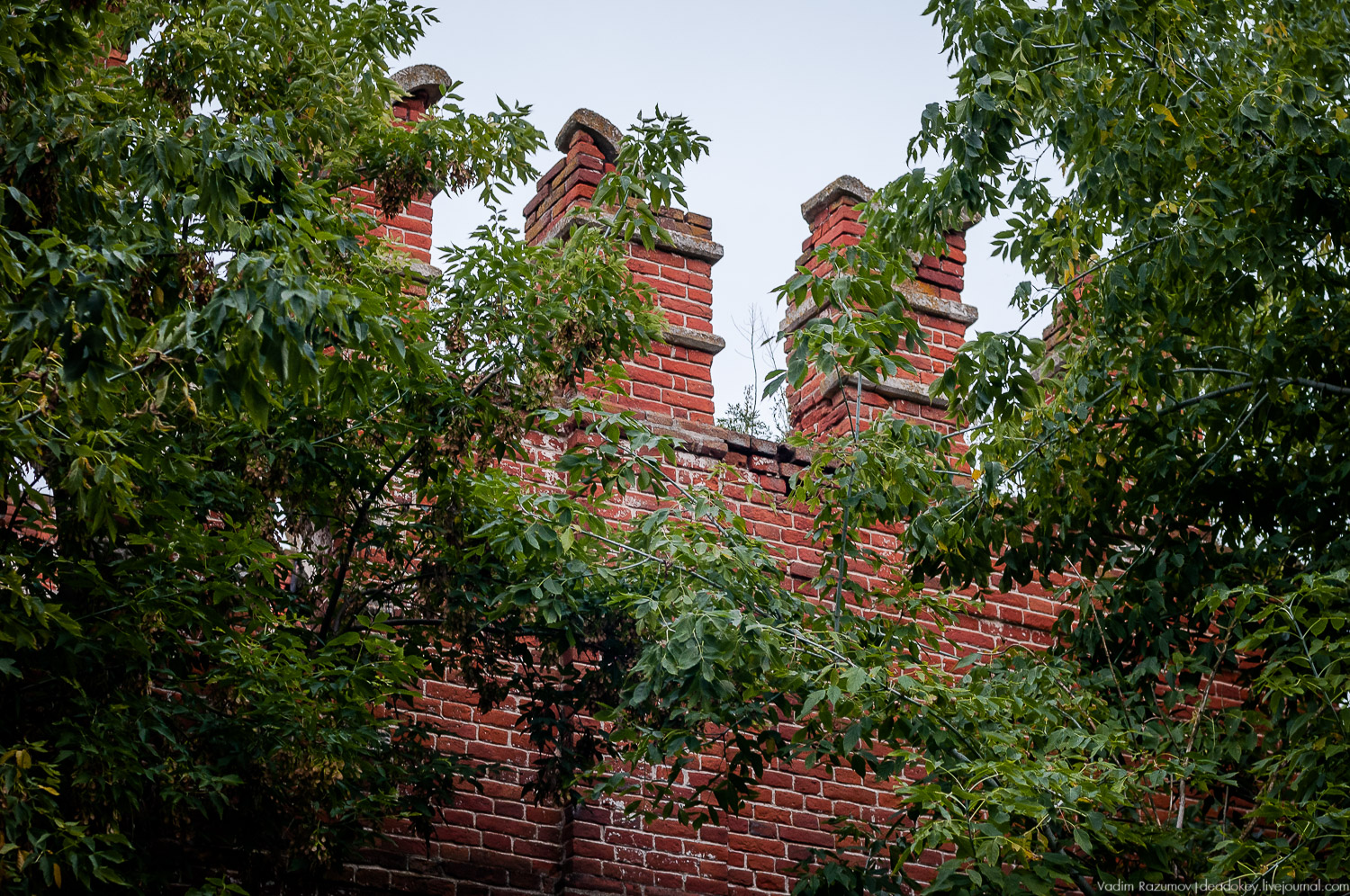 усадьба Каргашино