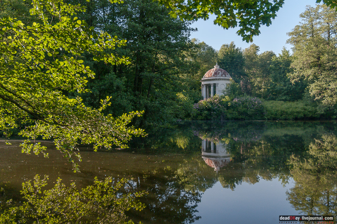 усадьба Быково, пресс-релиз встречи волонтеров