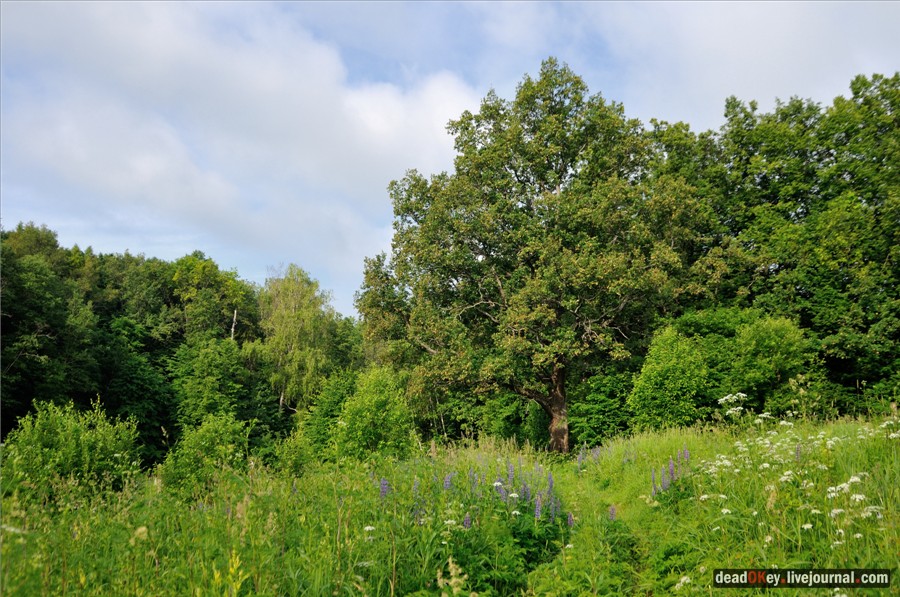усадьба Кудрявцево
