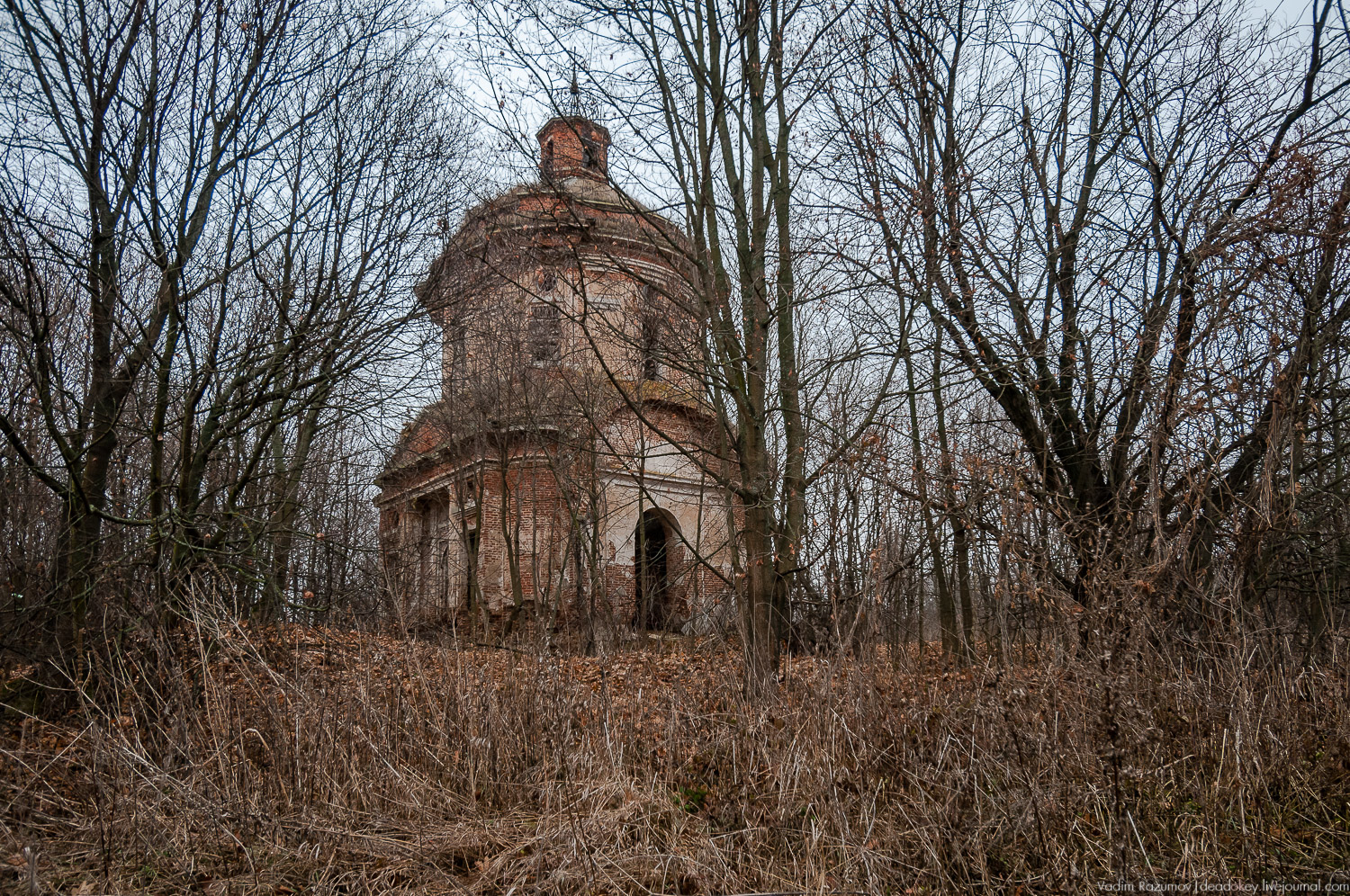 усадьба Горки, Заразы, Тульская область, церковь Михаила Архангела