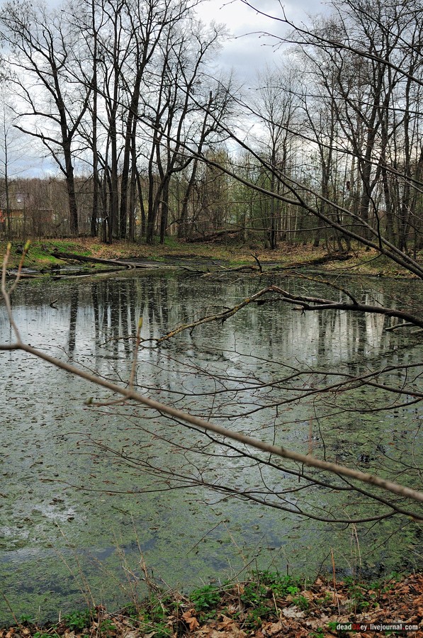 усадьба Антипино