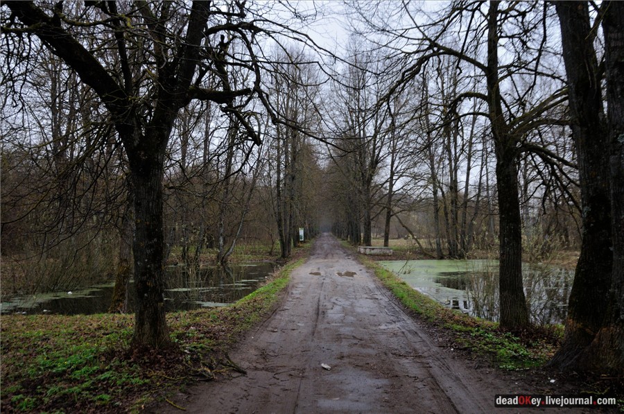 усадьба Полотняный Завод Гончаровых