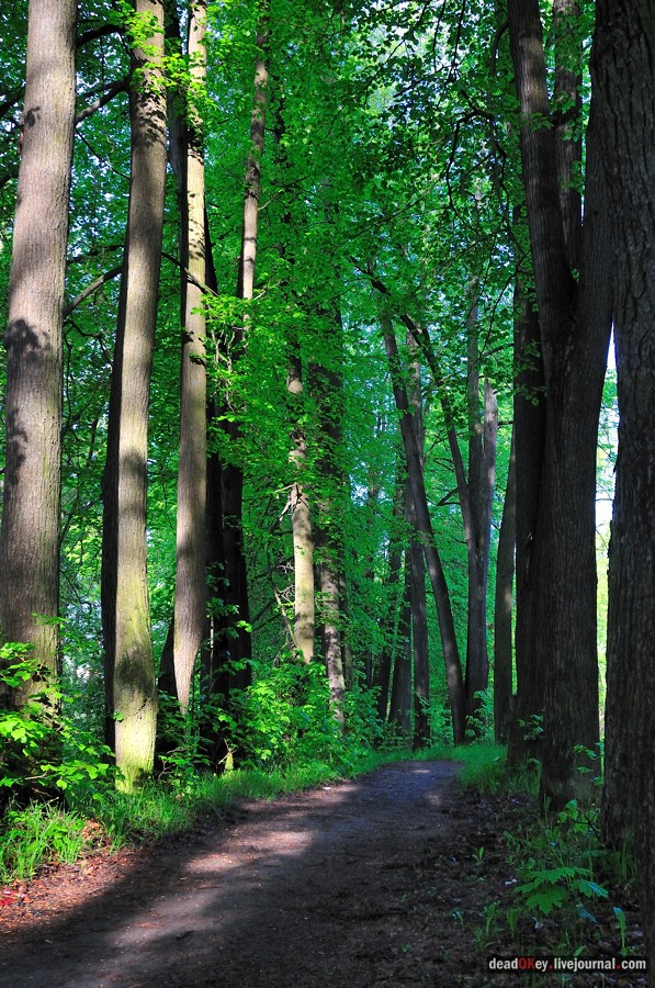 усадьба Мещерское