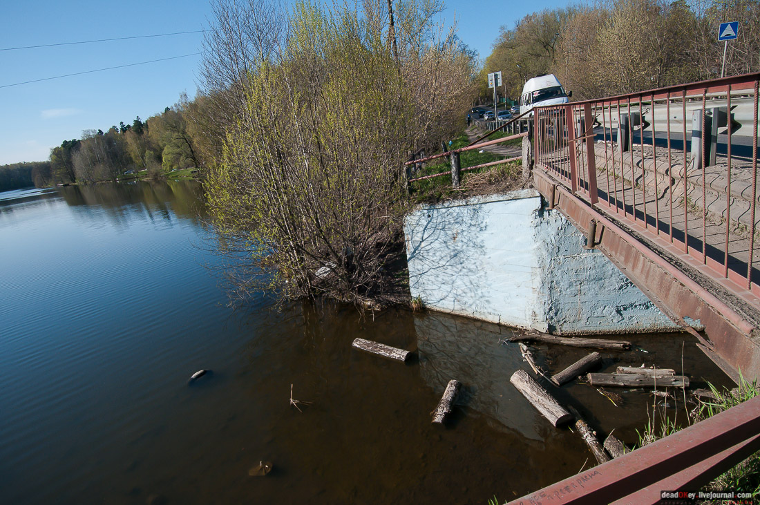 усадьба Чижово, Балашихинский район