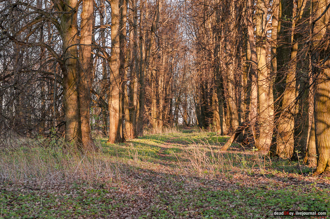 Усадьба Стародуб