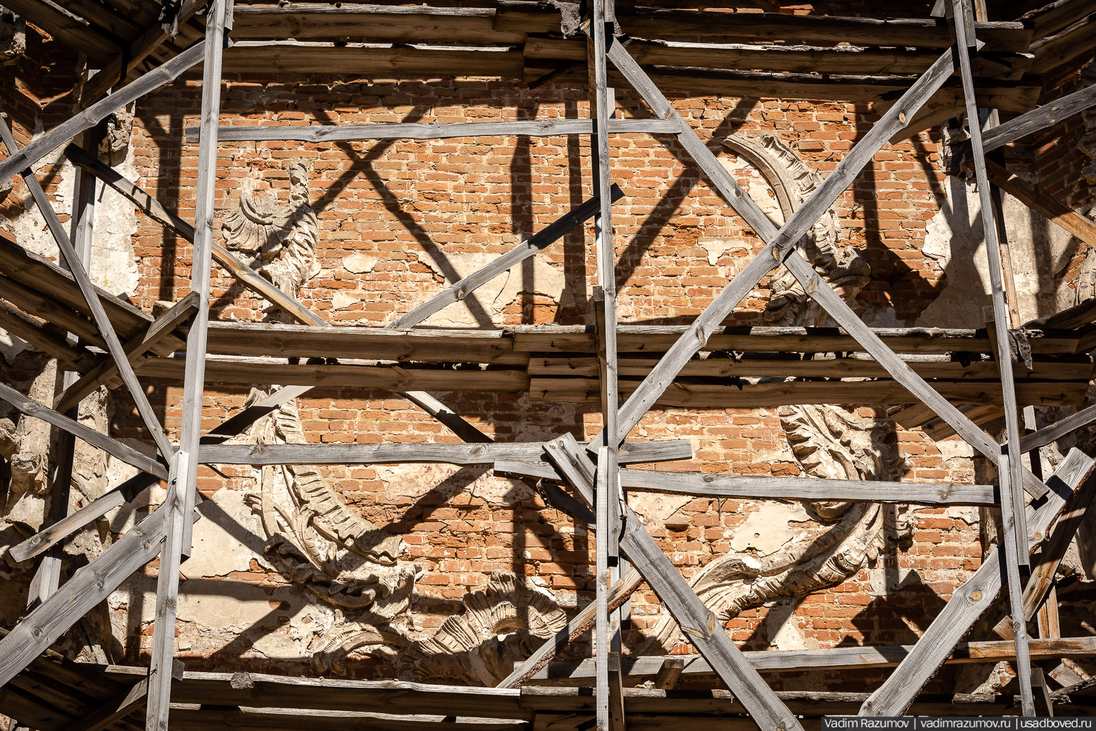 Пролески в усадьбе Репец, Задонский район, Липецкая область