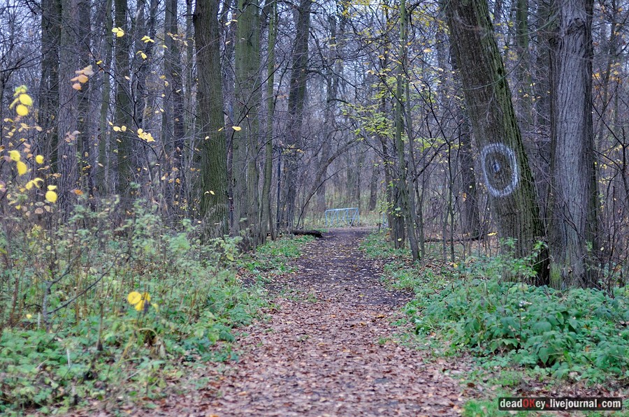 усадьба Глинки