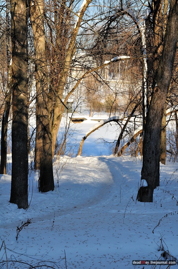 усадьба Петровское-Лобаново