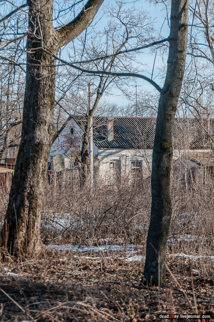 усадьба Трубетчино, Липецкая область