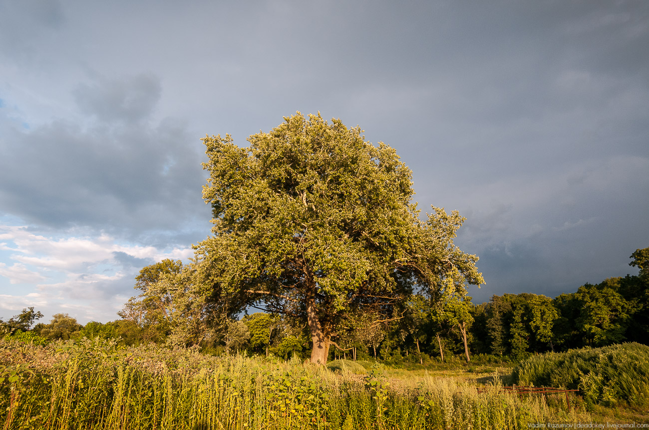 усадьба Колодезское