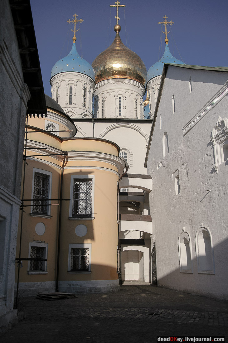 Новоспасский монастырь