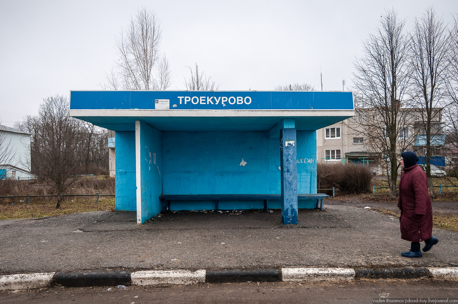 усадьба Троекурово, Липецкая область, Лебедянский район