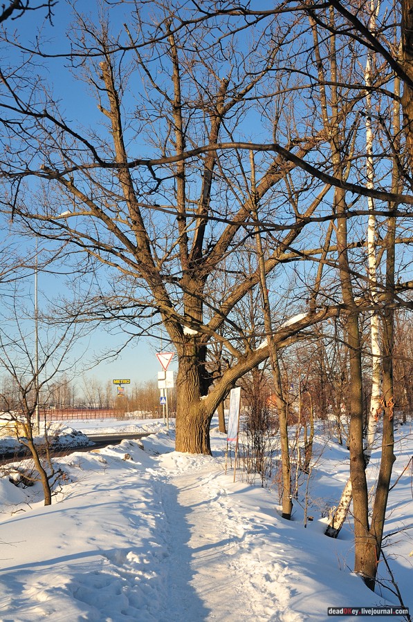 усадьба Архангельское-Тюриково