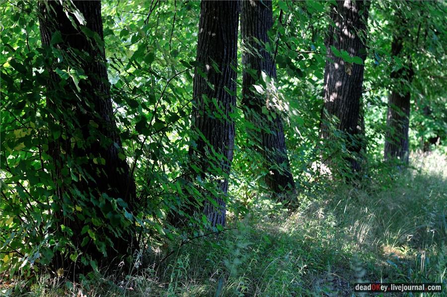 усадьба Долгое Ледово