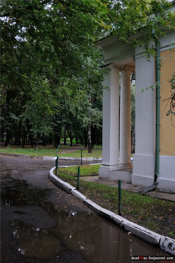 усадьба Строганова Дача