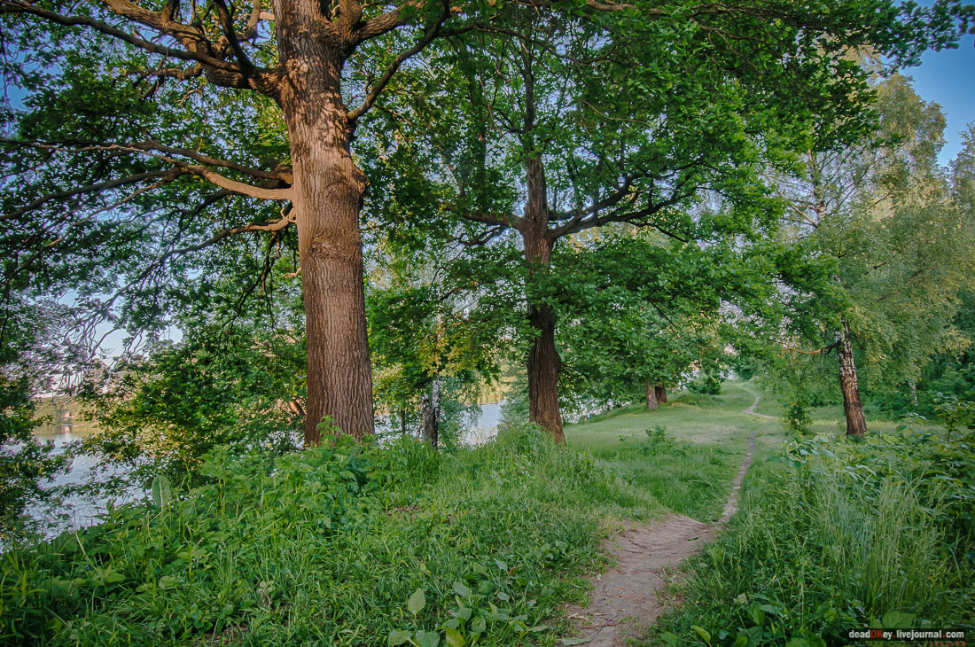 Пейзажный парк в усадьбе Гребнево