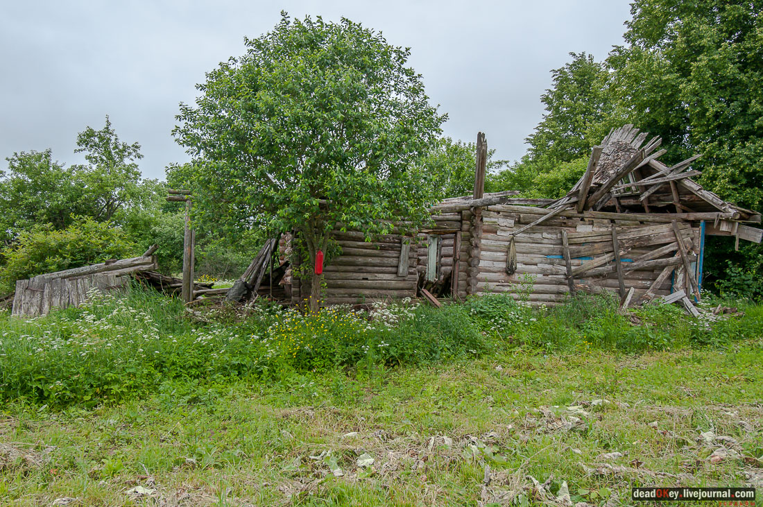 усадьба Арпачево (Тверская область, Новоторжский район, Н.А. Львов)