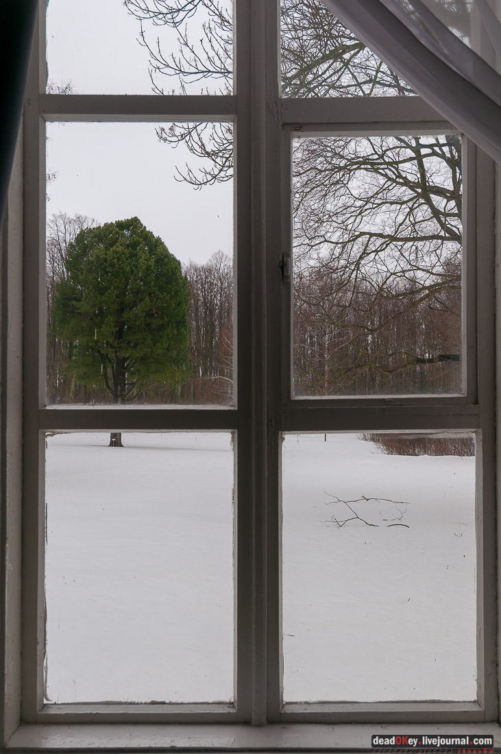 усадьба Рязанка, интерьеры музея Семенова-Тян-Шанского