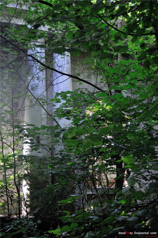 усадьба Городищи (