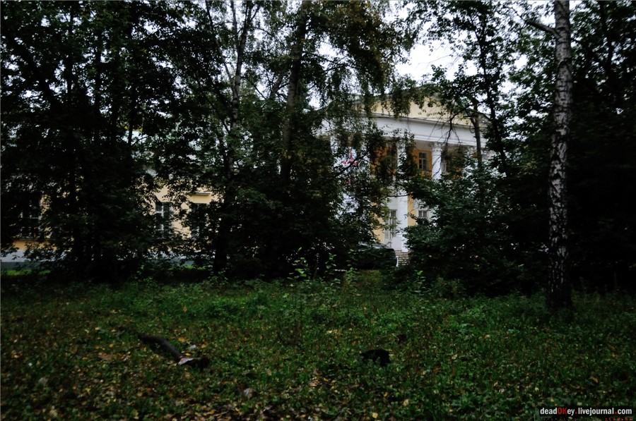 усадьба Строганова Дача