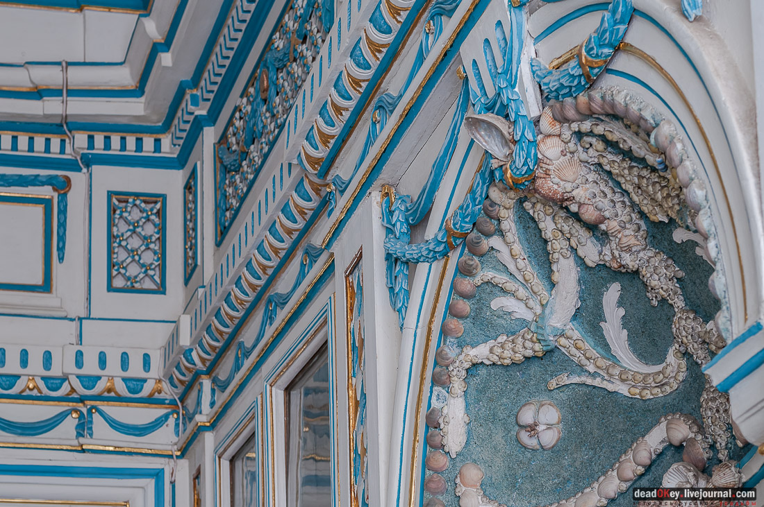 усадьба Кусково библиотека