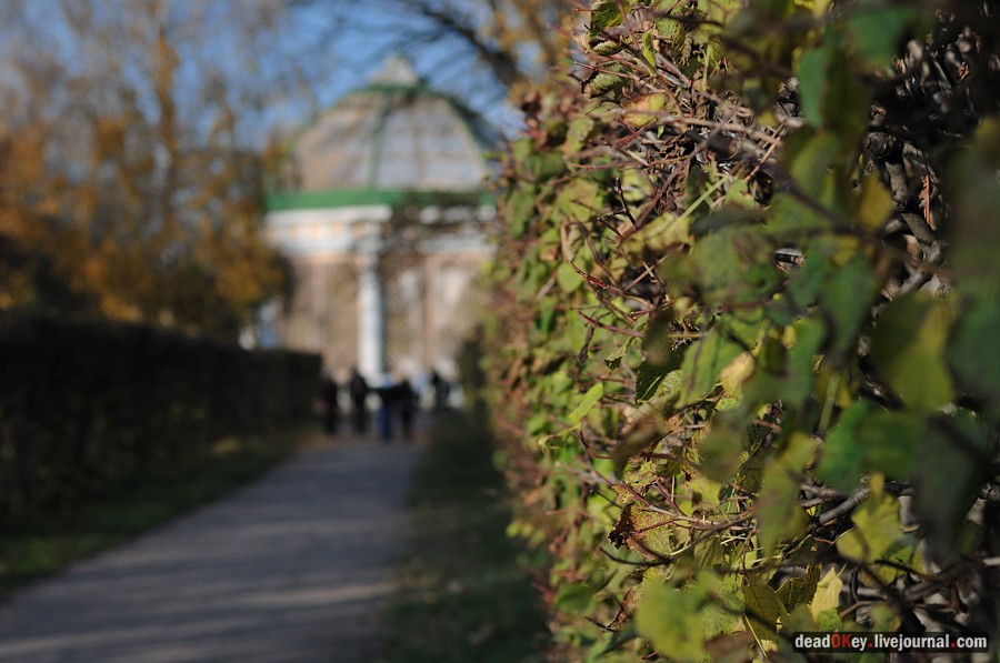 усадьба Кусково