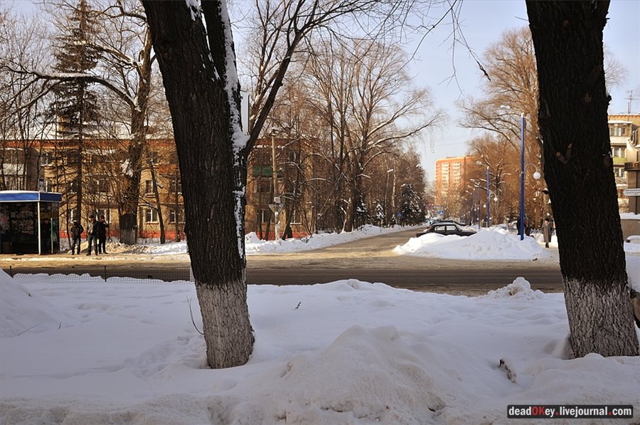 усадьба Коренево