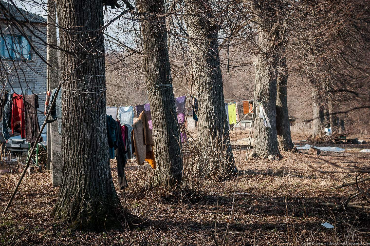 усадьба Соха