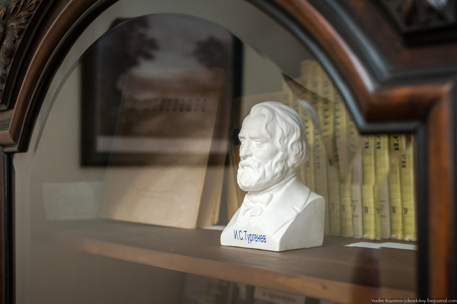 Тургеневские места, юбилей Тургеневу, открытие памятника, музею, Остоженка, 200 лет писателю