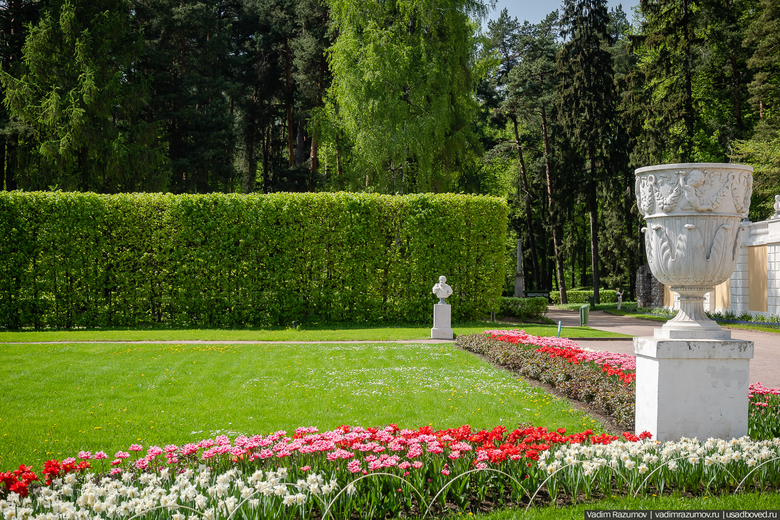 усадьба Архангельское, весна, май 2021