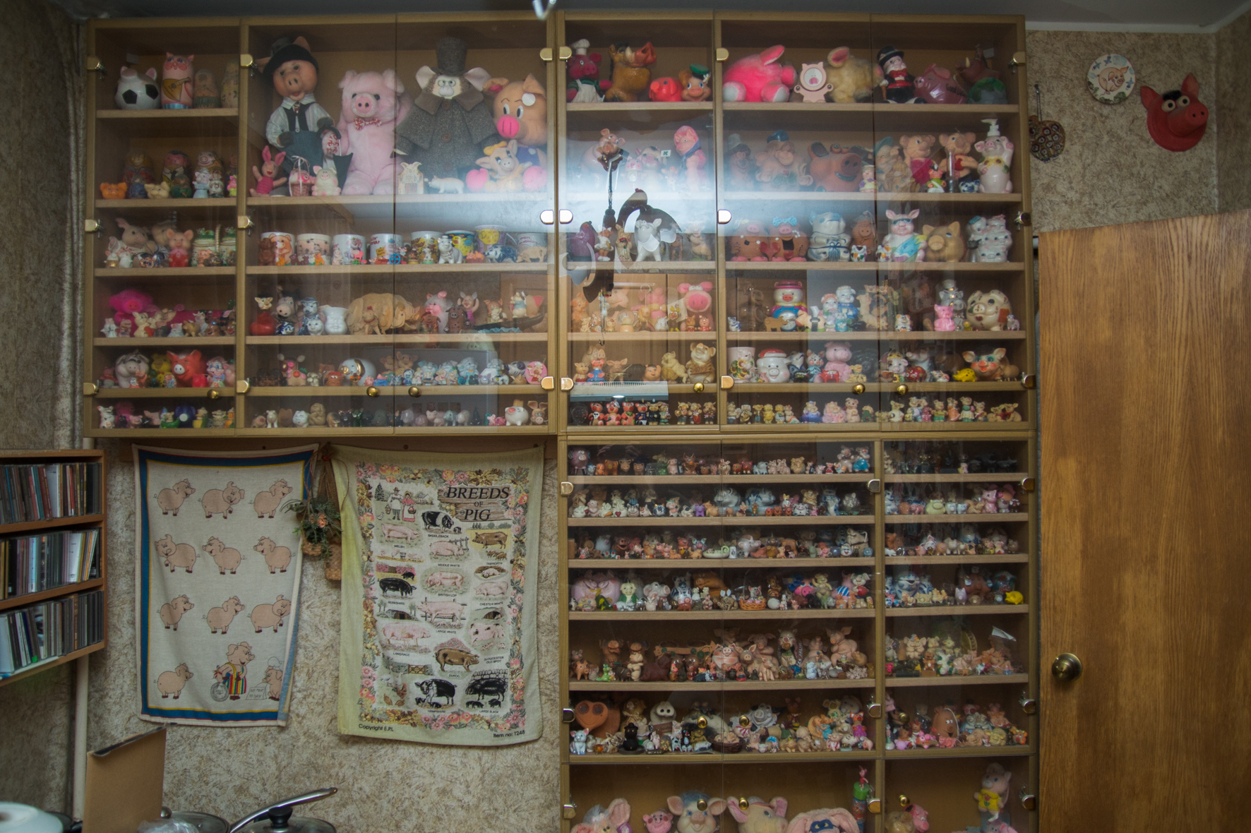 Свиньи, музей свиней