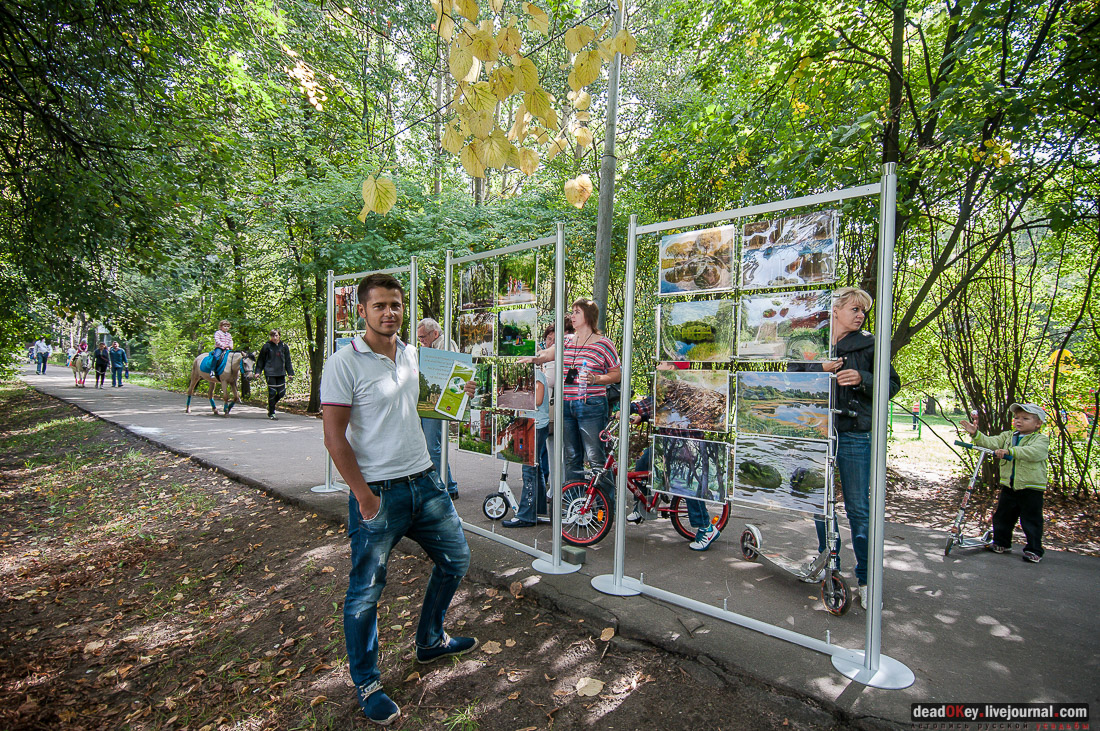 усадьба Покровское-Стрешнево, день города 2014, фотовыставка
