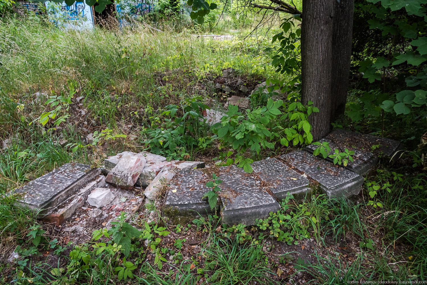 усадьба Лапино-Спасское, г. Королев, Усадебные волонтеры