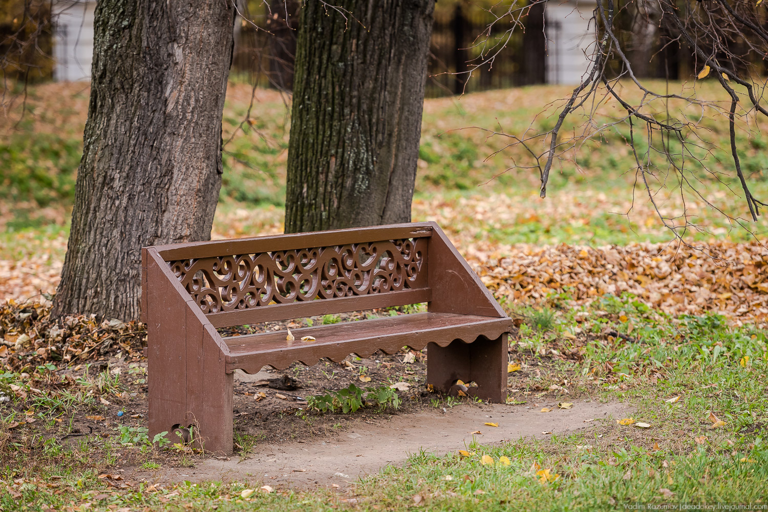 усадьба Кусково, осень 2018 года