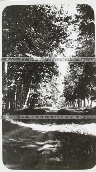 усадьба Городня