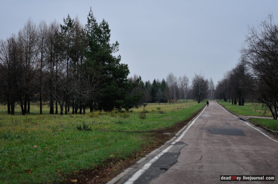 усадьба Горки Ленинские